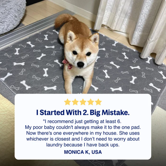 PupSpot™ - Washable Indoor Dog Potty Pad